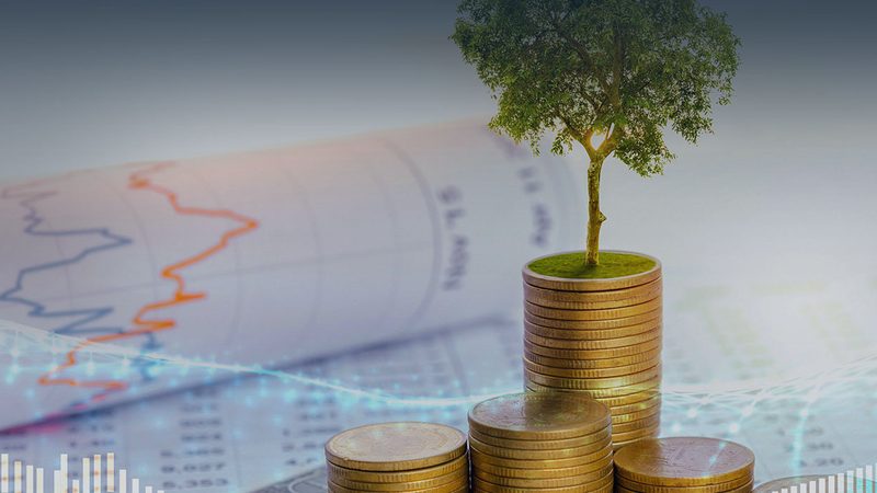上市辅导机构收费：三万与三百万的差距在哪
